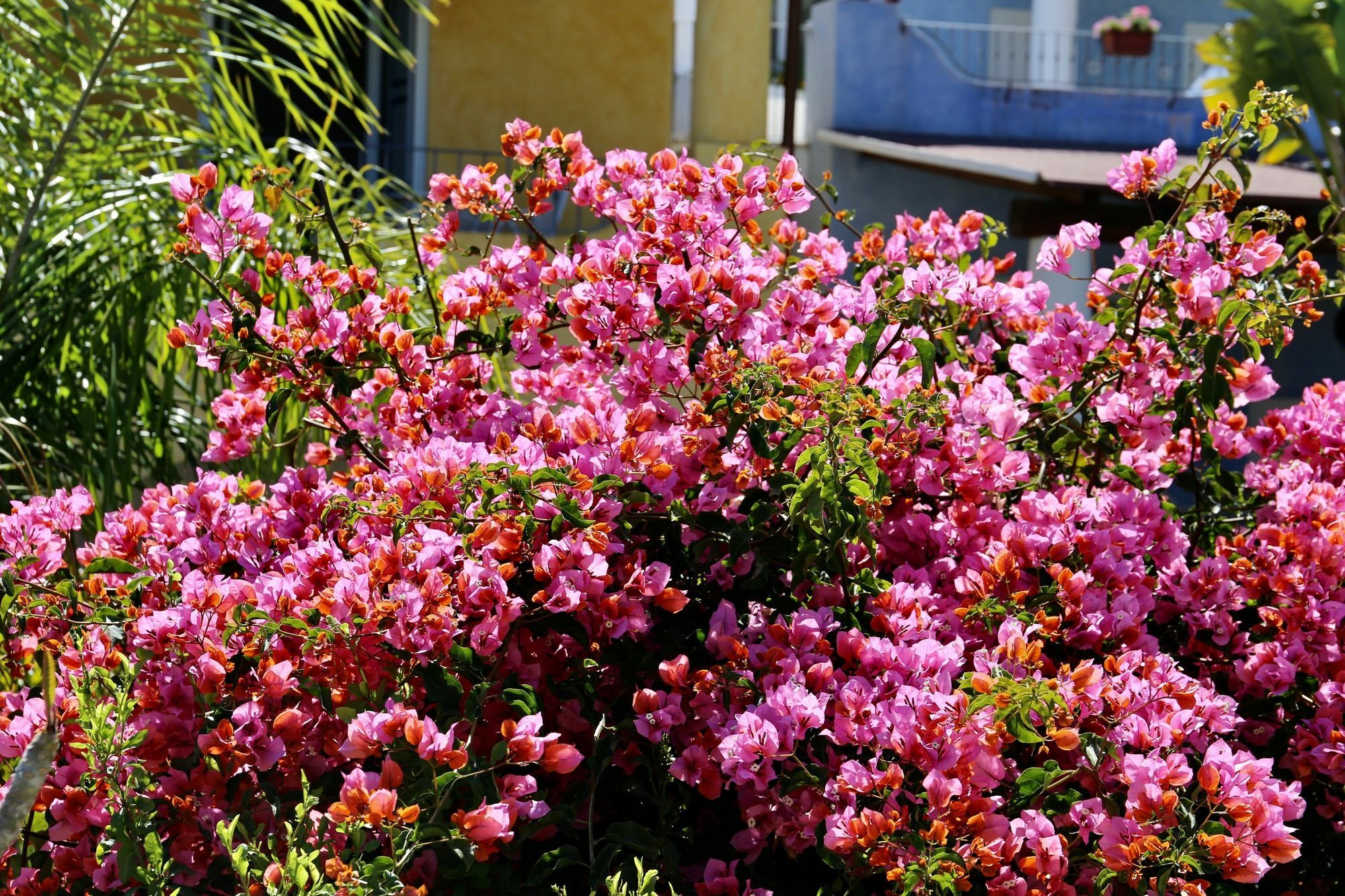Hotel Bougainville Lipari  Exterior foto